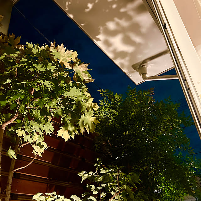 kayokos0801さんの部屋