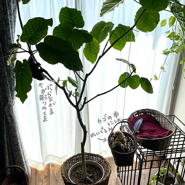mutsuさんの部屋