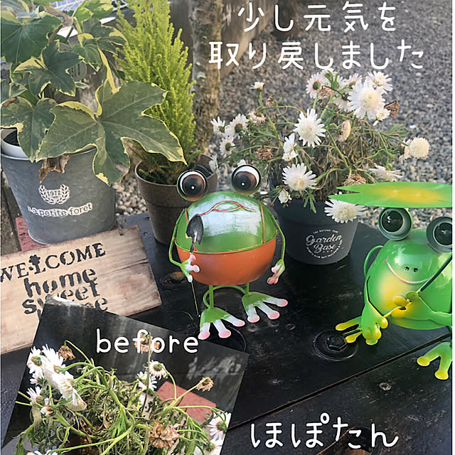 izuさんの実例写真