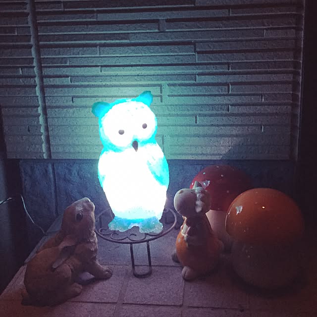 Azukiさんの実例写真