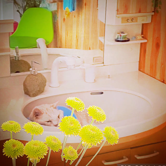 Watanabejunpilさんの実例写真