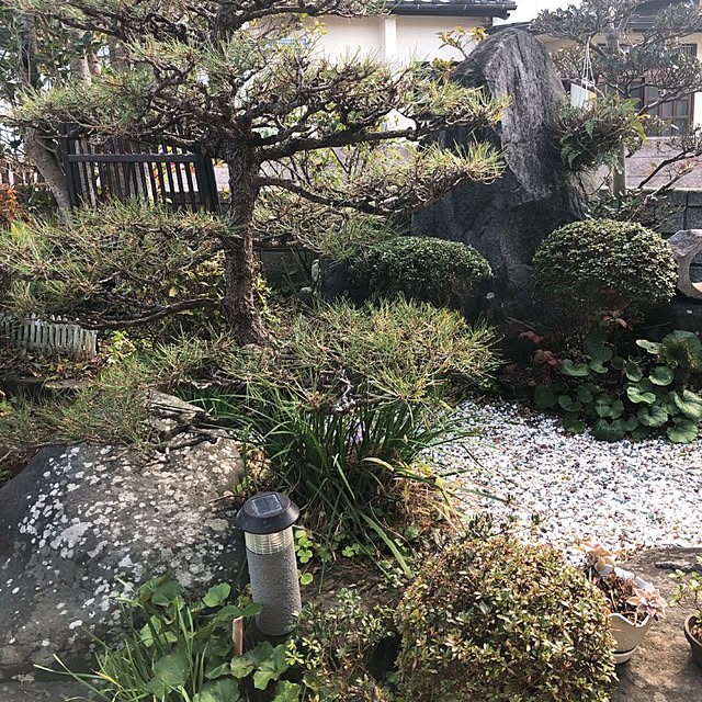 myuさんの実例写真