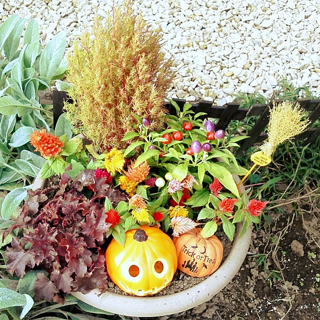 garakuta-GARDENさんの実例写真