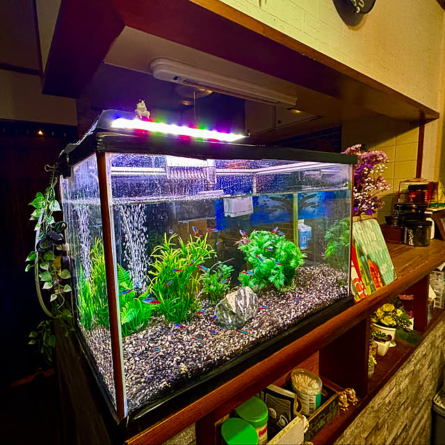 tututu0204さんの実例写真