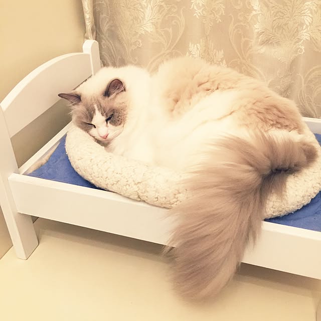 yuchiさんの実例写真