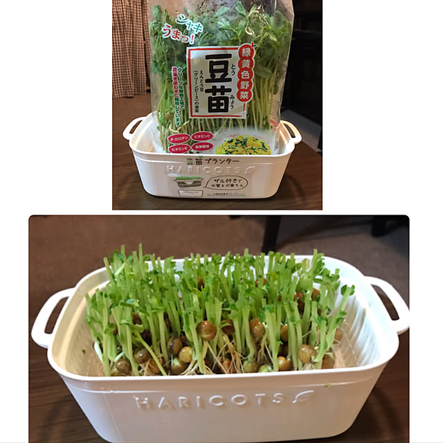 okadajapanさんの実例写真