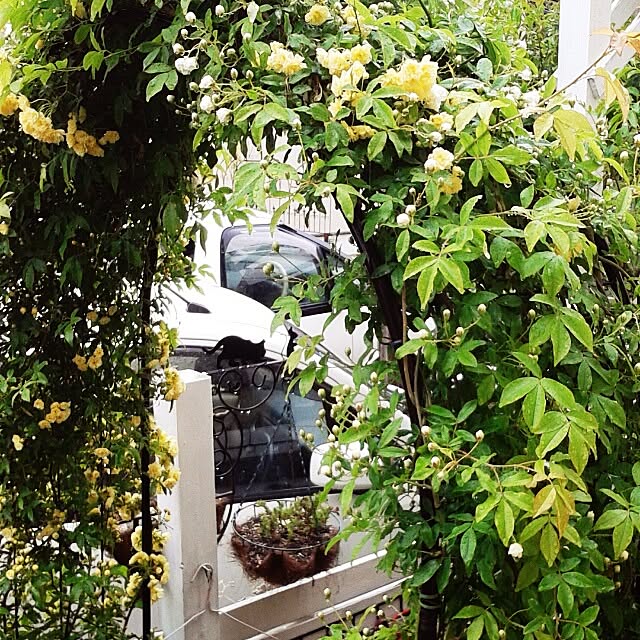 383junkさんの実例写真