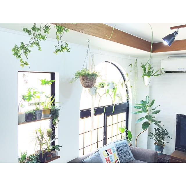 kiki_nekkoさんの実例写真