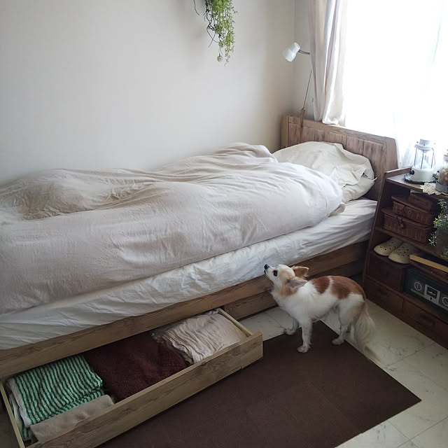 nonさんの実例写真