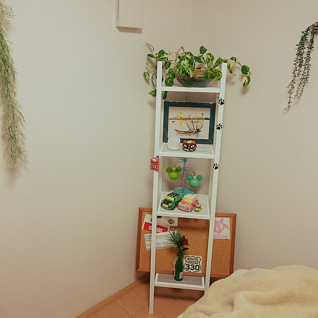 taiamiさんの実例写真