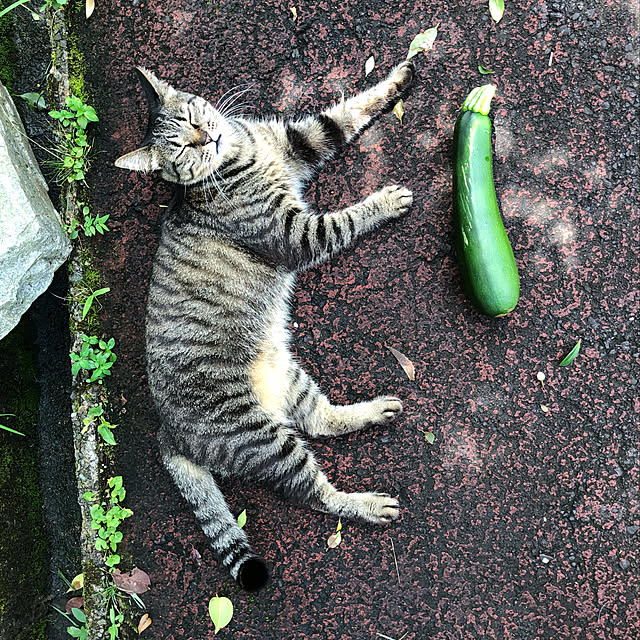 weさんの実例写真