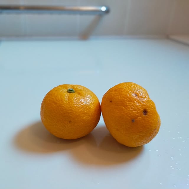 michiさんの実例写真