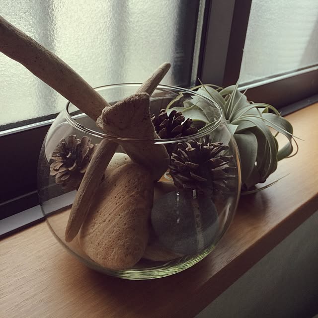 バス/トイレ/100均/観葉植物/ナチュラルのインテリア実例 - 2017-04-21 10:01:37