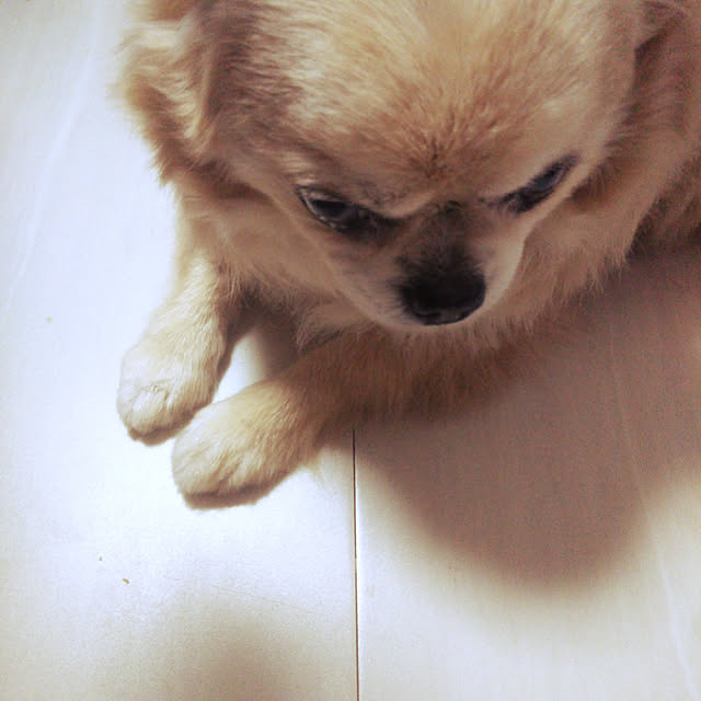 kiraさんの実例写真