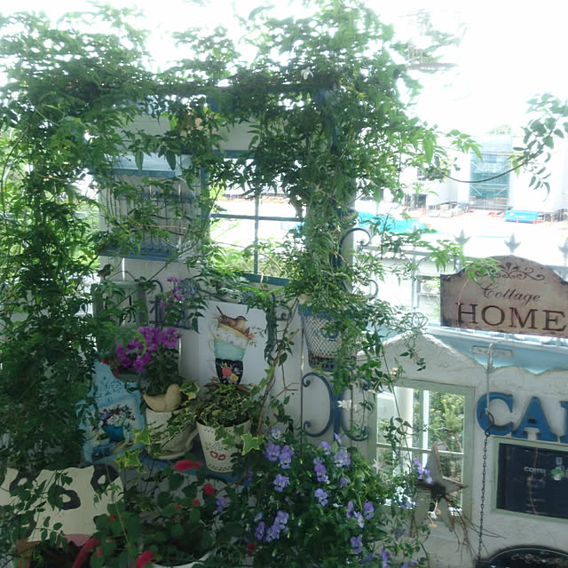ruruさんの実例写真