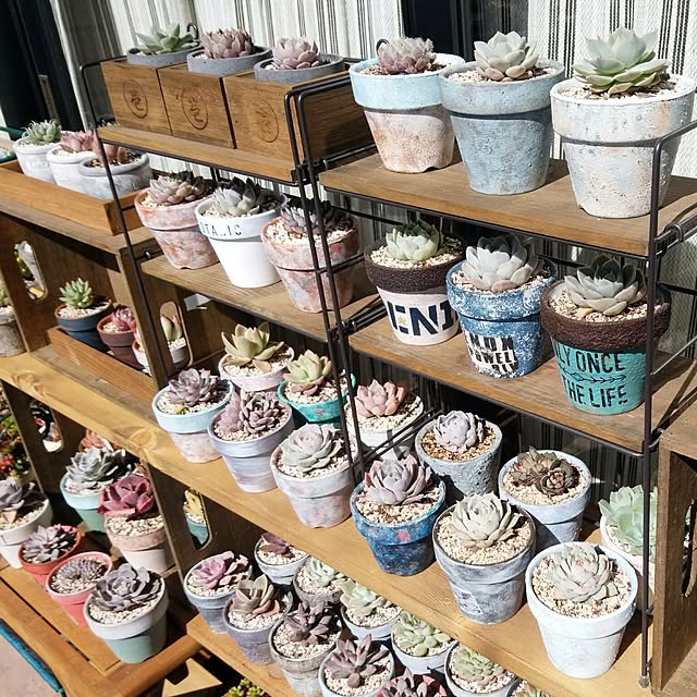 j.tさんの実例写真