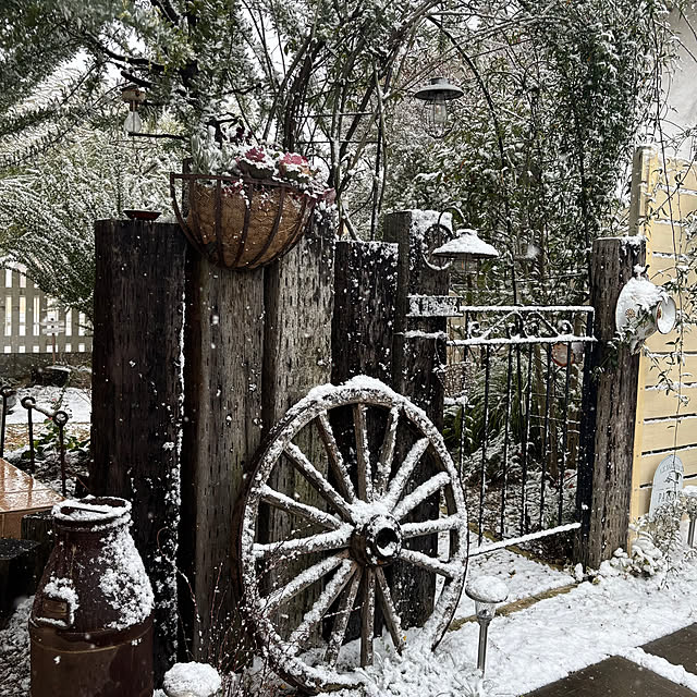 mameshibaさんの実例写真