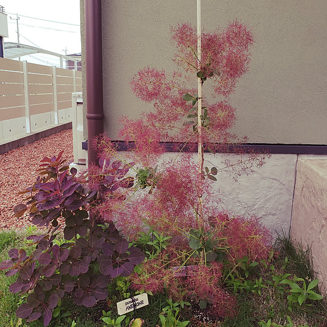 jaaichannさんの実例写真