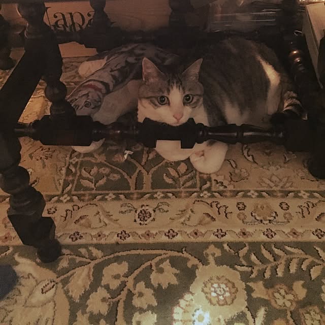 emmyyさんの実例写真