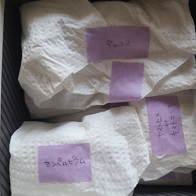 monnさんの部屋