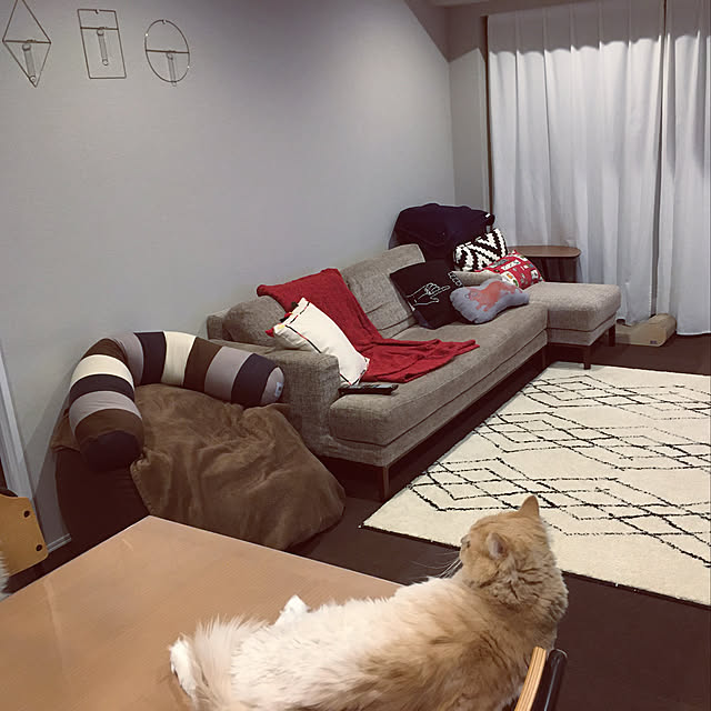 Ellenaさんの実例写真