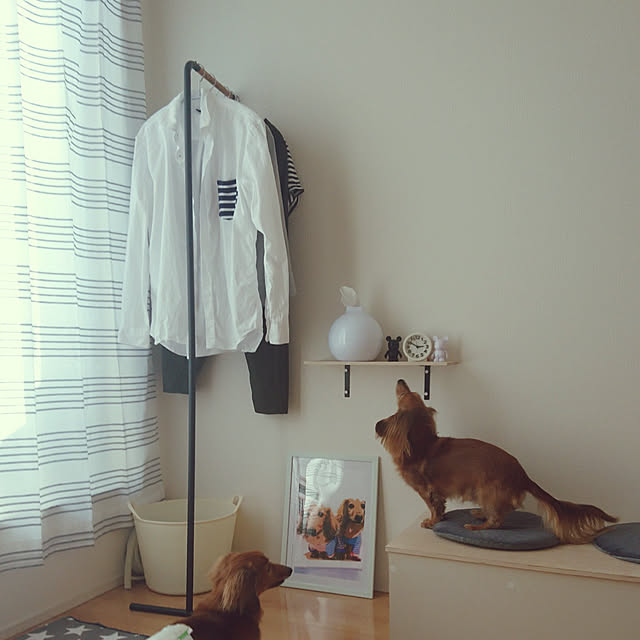 furukumaさんの実例写真