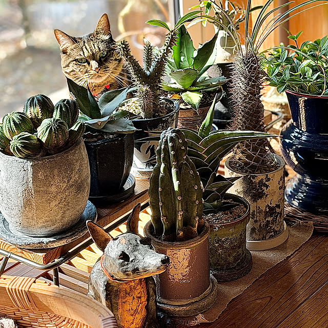 onsix777さんの部屋