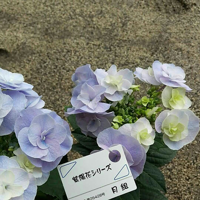 HIRO.TA29さんの実例写真