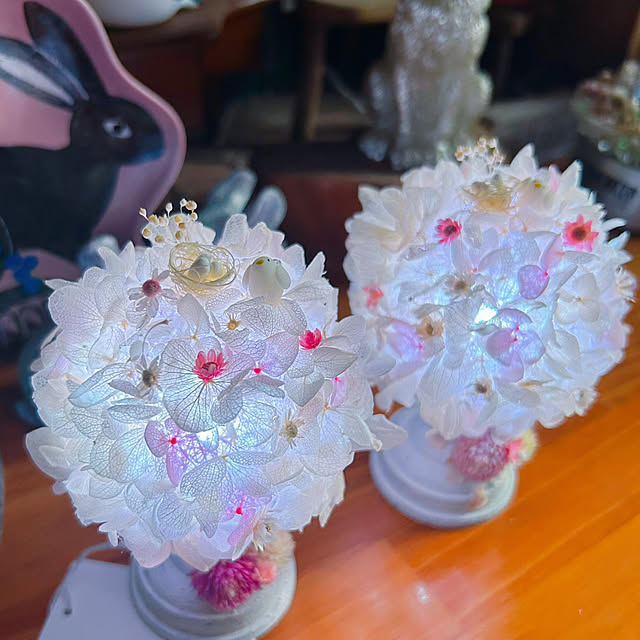portulacaさんの部屋
