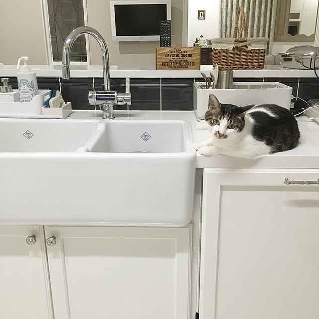 yuchiさんの実例写真