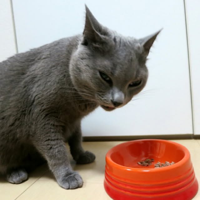 yzuさんの実例写真