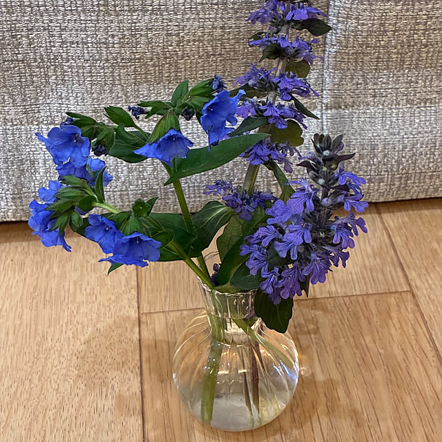 romiromiさんの実例写真