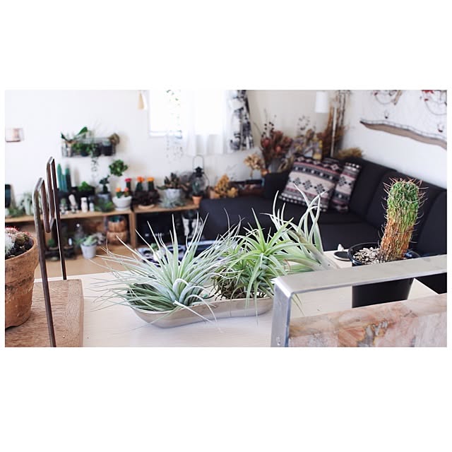 MMさんの実例写真