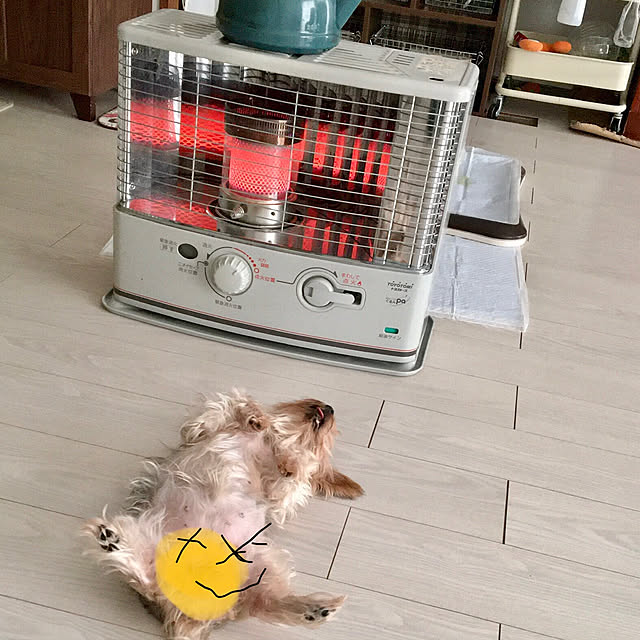 ohanaさんの実例写真