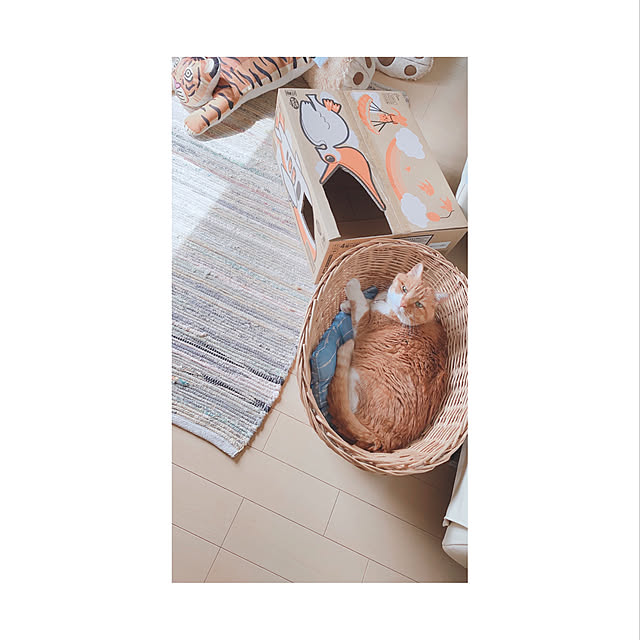 mako1210さんの実例写真