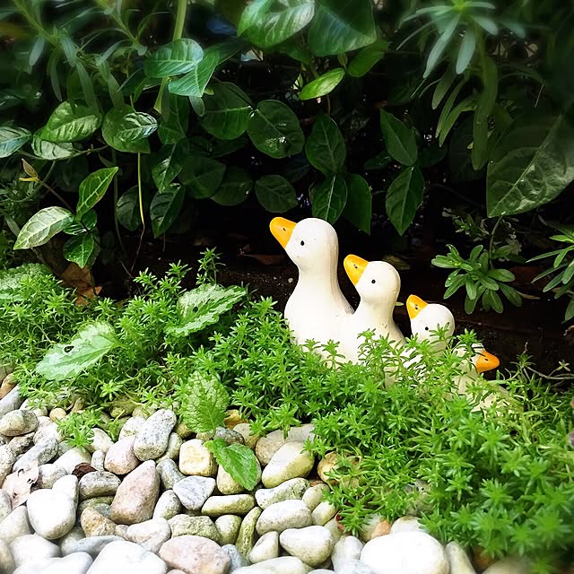 MAKIさんの実例写真
