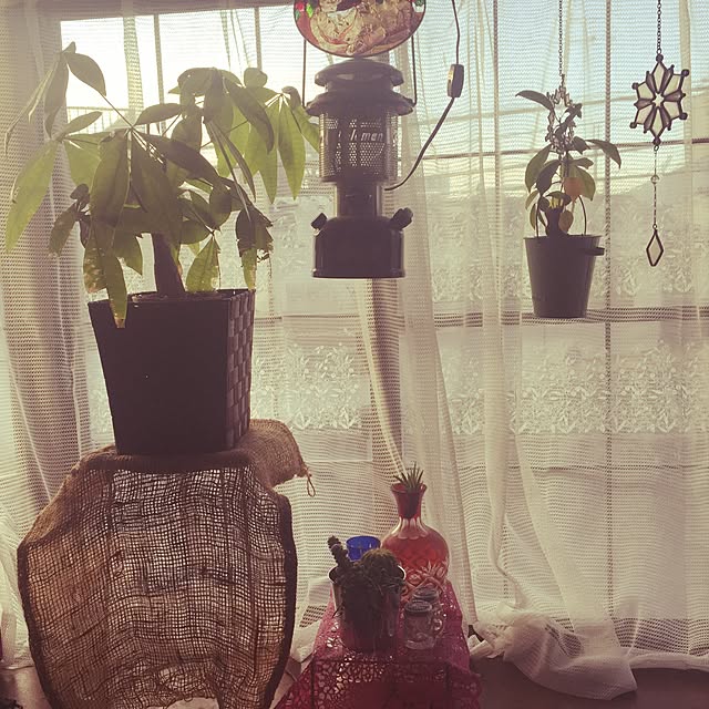 yukoさんの実例写真
