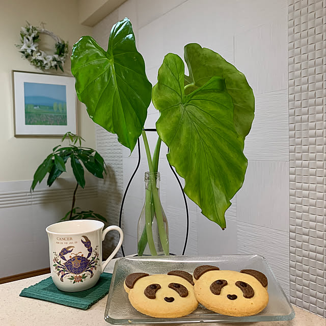 mizucchiさんの実例写真