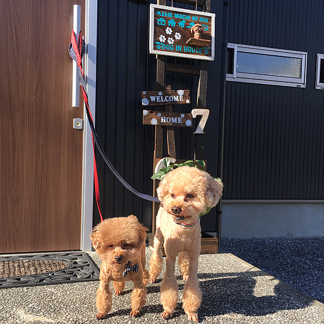 noririnさんの実例写真