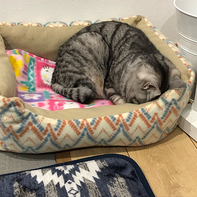 syrnuu946さんの実例写真