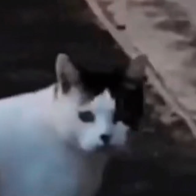 Newtypeさんの実例写真