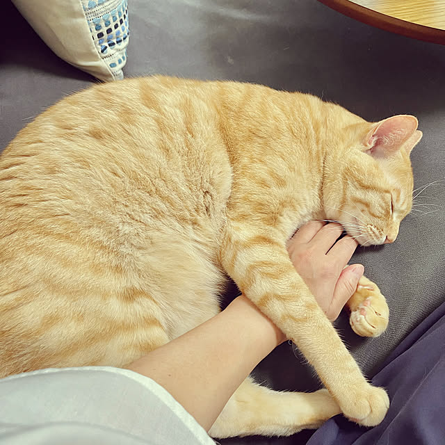 chiiさんの部屋