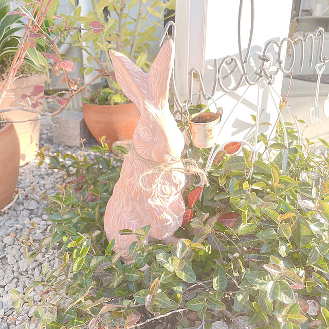 akiko-ovさんの部屋