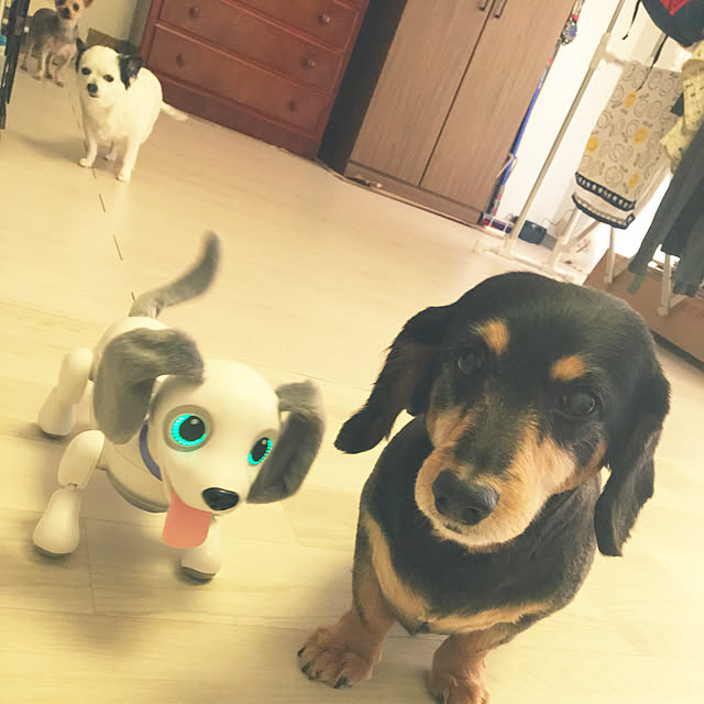 ohanaさんの実例写真