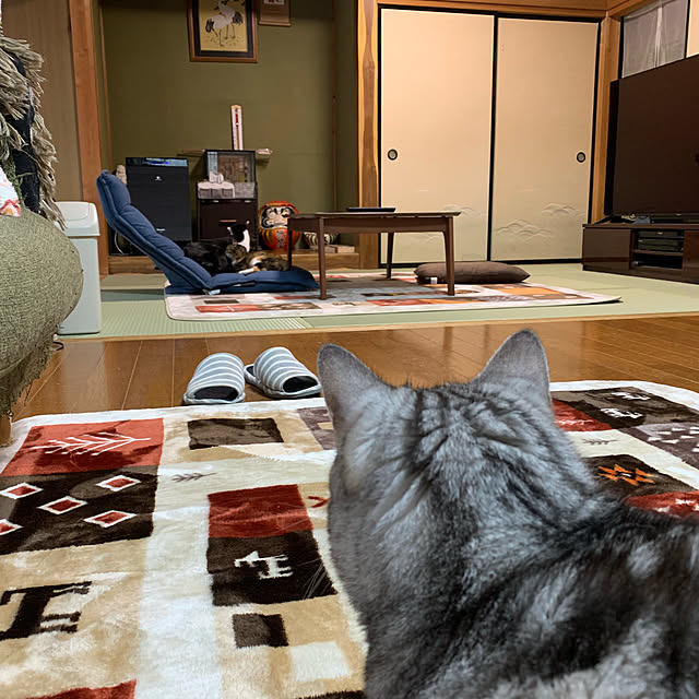kami_haさんの実例写真