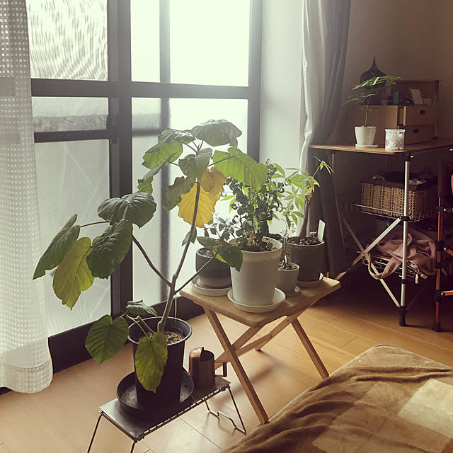 miniさんの実例写真