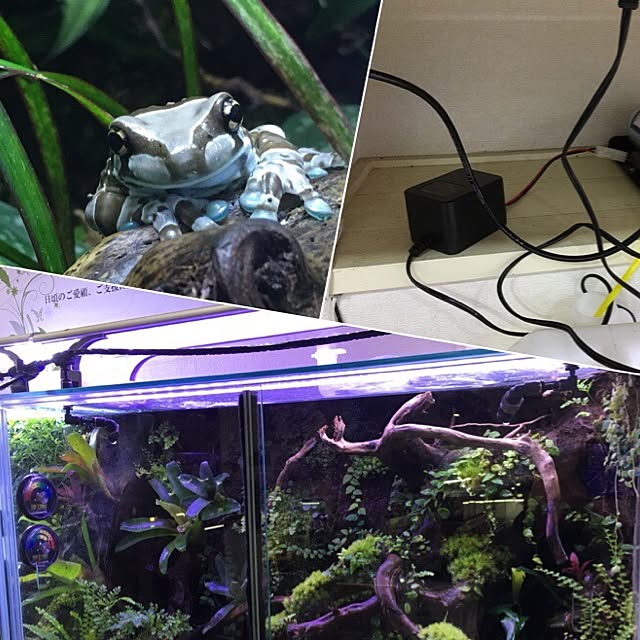 aquarium_seaさんの実例写真