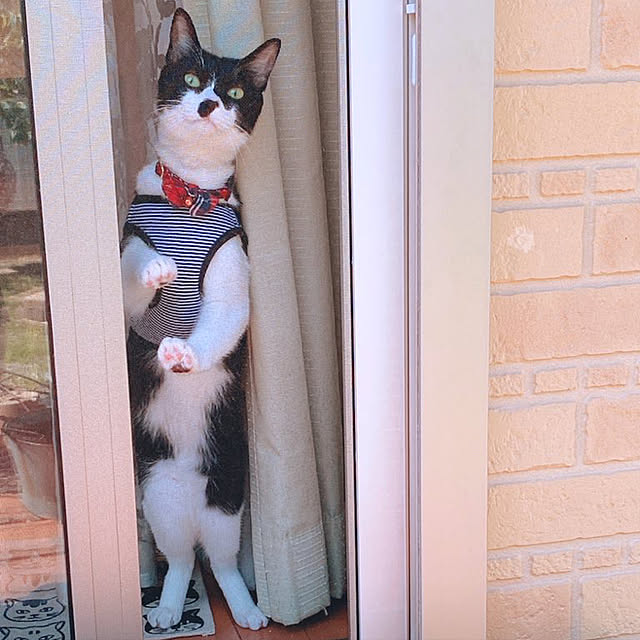 moolさんの実例写真