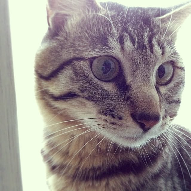 ramiko821さんの実例写真