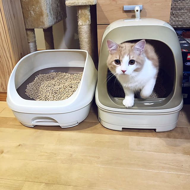 ecopanaさんの実例写真